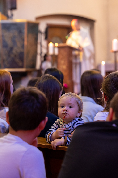 Diözese St. Pölten