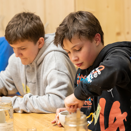 Diözese St. Pölten