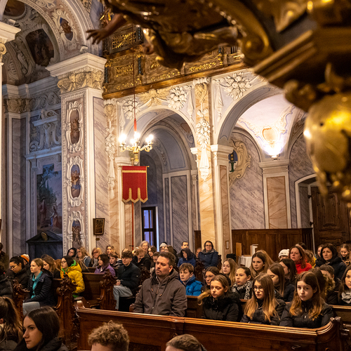 Diözese St. Pölten