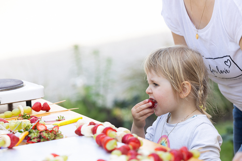 Diözese St. Pölten