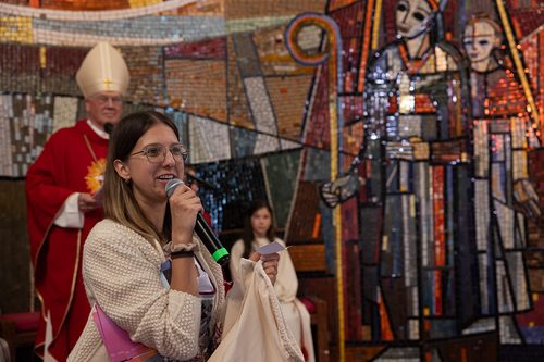 Diözese St. Pölten