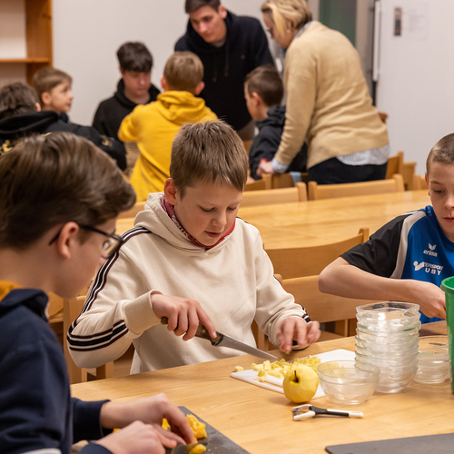 Diözese St. Pölten