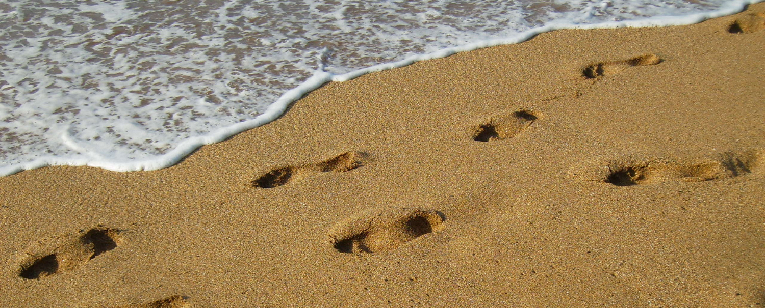 Diözese St. Pölten