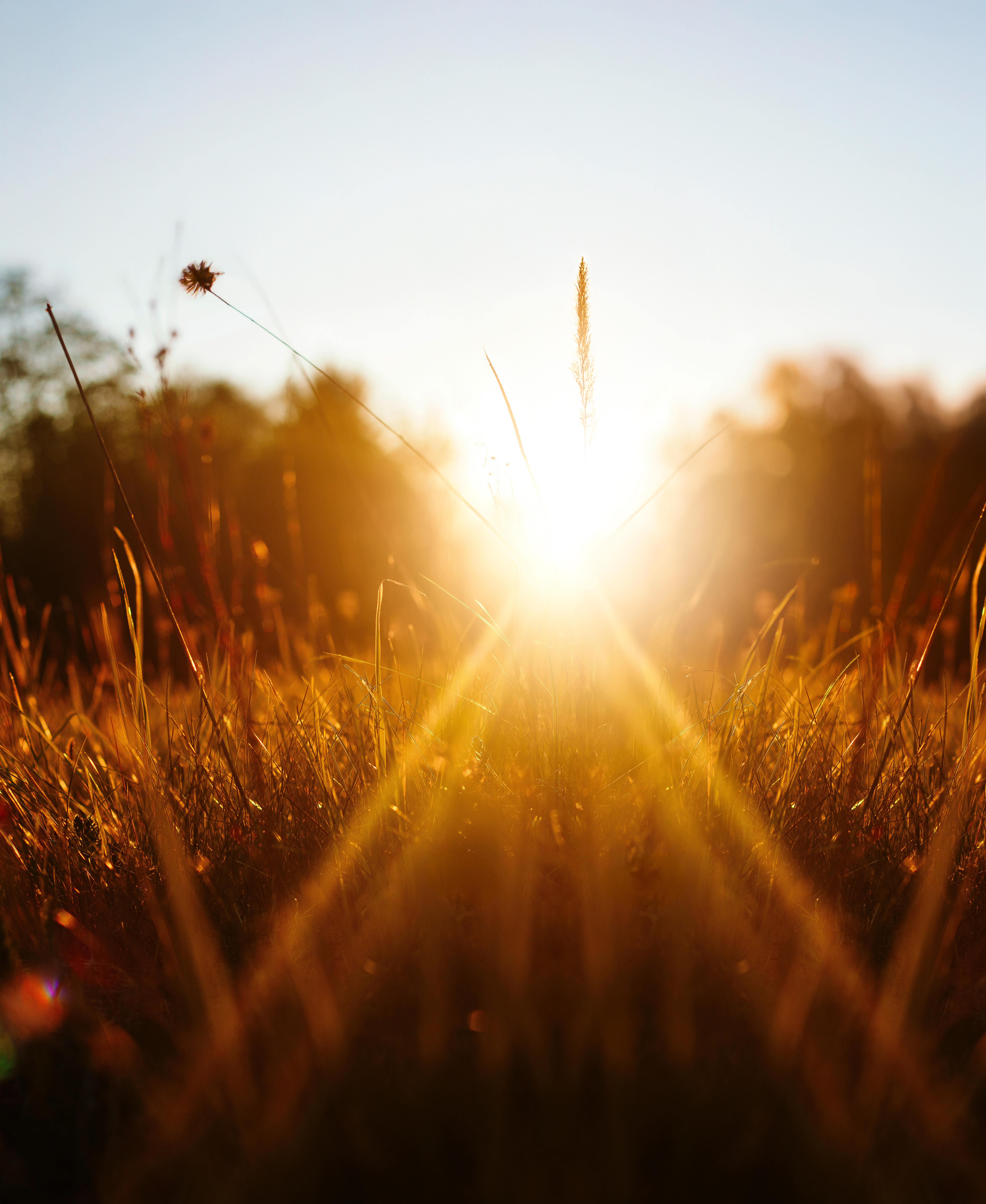 Veronika Scherbik – Unsplash