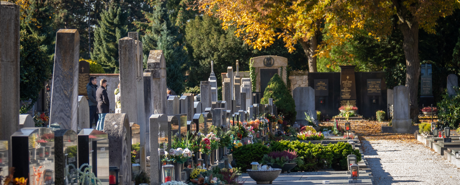 Diözese St. Pölten